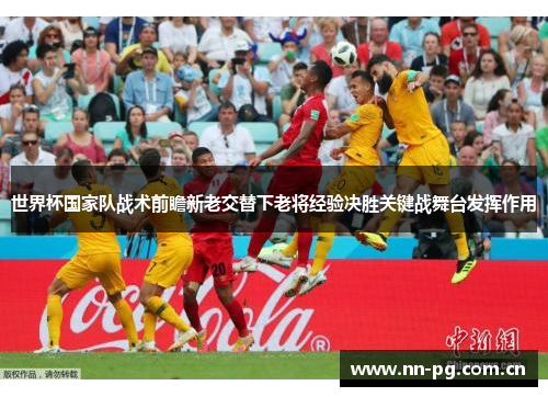 世界杯国家队战术前瞻新老交替下老将经验决胜关键战舞台发挥作用
